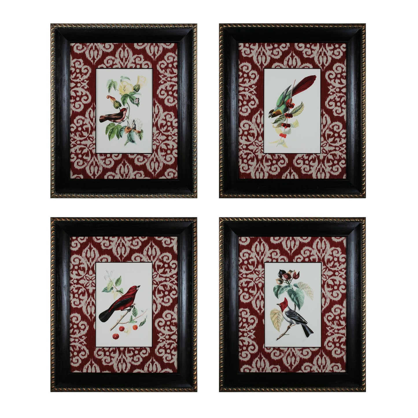 Cuvier Exotic Birds (4-piece Set)