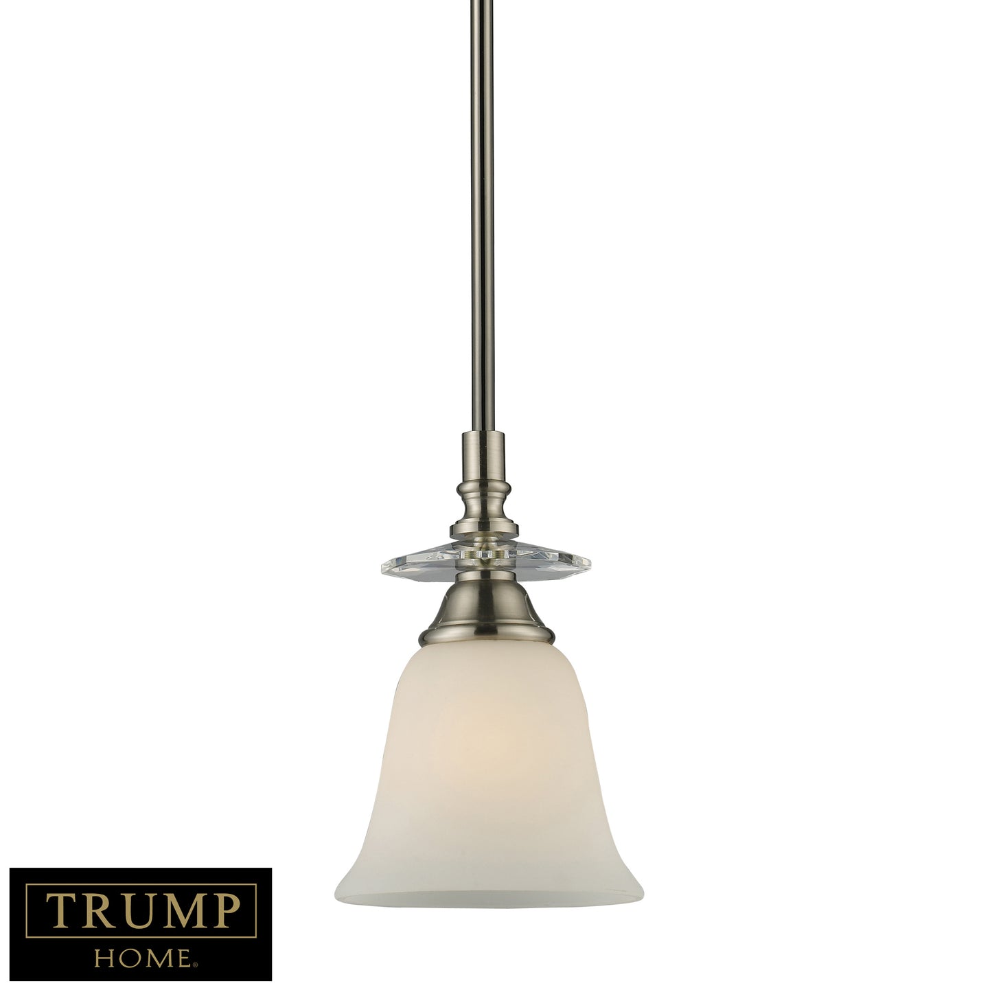 1-Light Mini Pendant - Black Chrome with Polished Nickel Accents