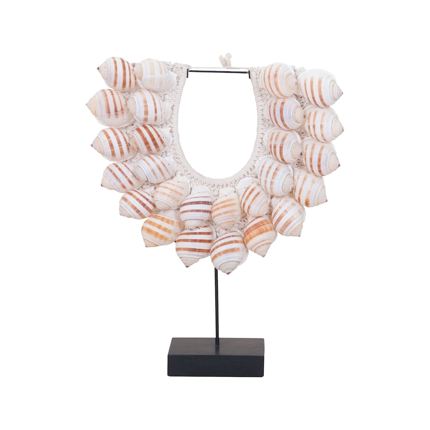 Bonnet Shell Object - Natural