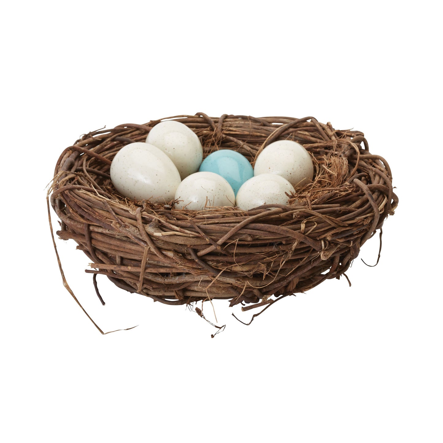 Tree Swallow Nest in Nest