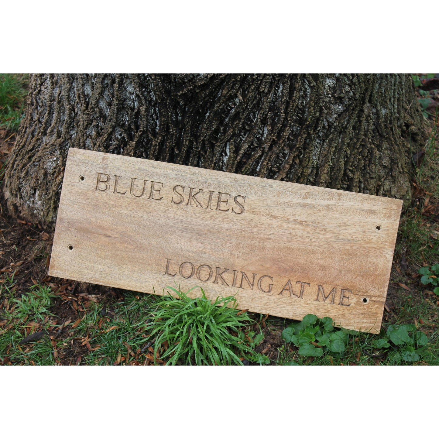 Blue Skies Swing