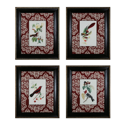 Cuvier Exotic Birds (4-piece Set)