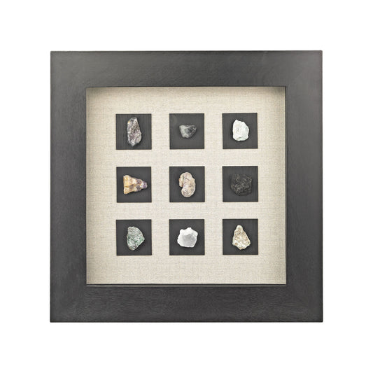 Mineral Study Dimensional Wall Art