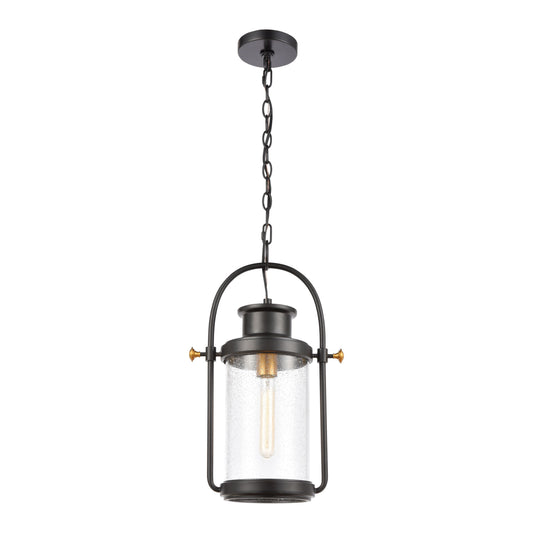 Wexford 12'' Wide 1-Light Outdoor Pendant - Matte Black