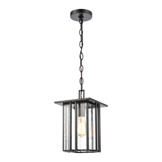 Radnor 8'' Wide 1-Light Outdoor Pendant - Matte Black