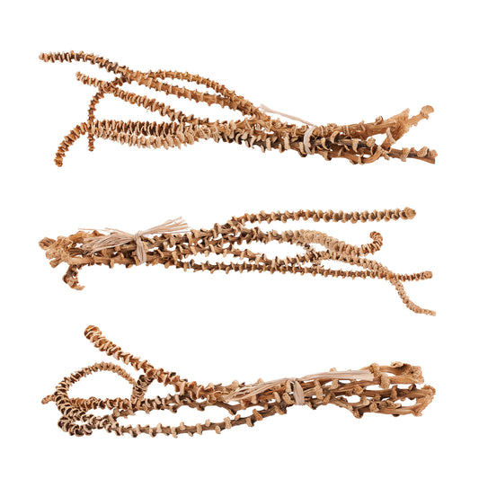 Natural Banana Stem Bunch - Set of 3
