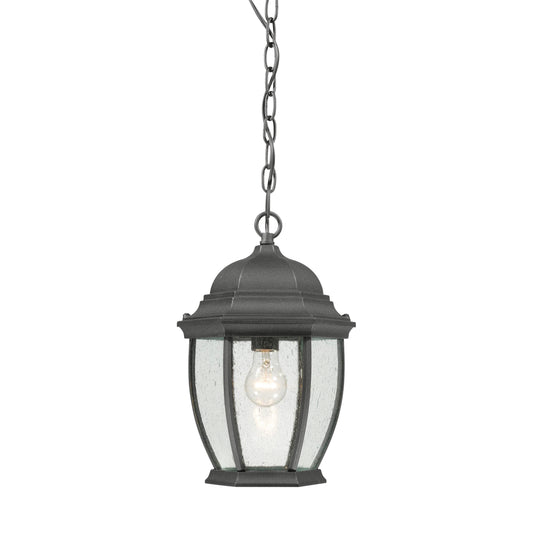 Covington 9.5'' Wide 1-Light Outdoor Pendant - Black